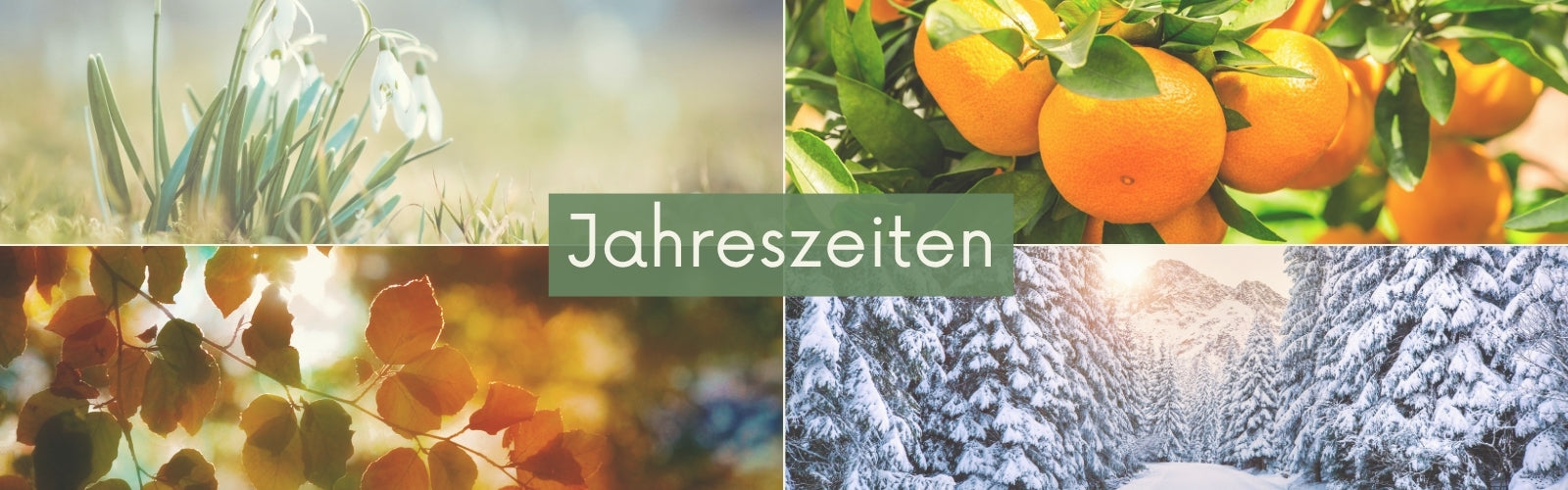 Kollektionenbild für die Duftkerzensammlung: Düfte für alle Jahreszeiten
