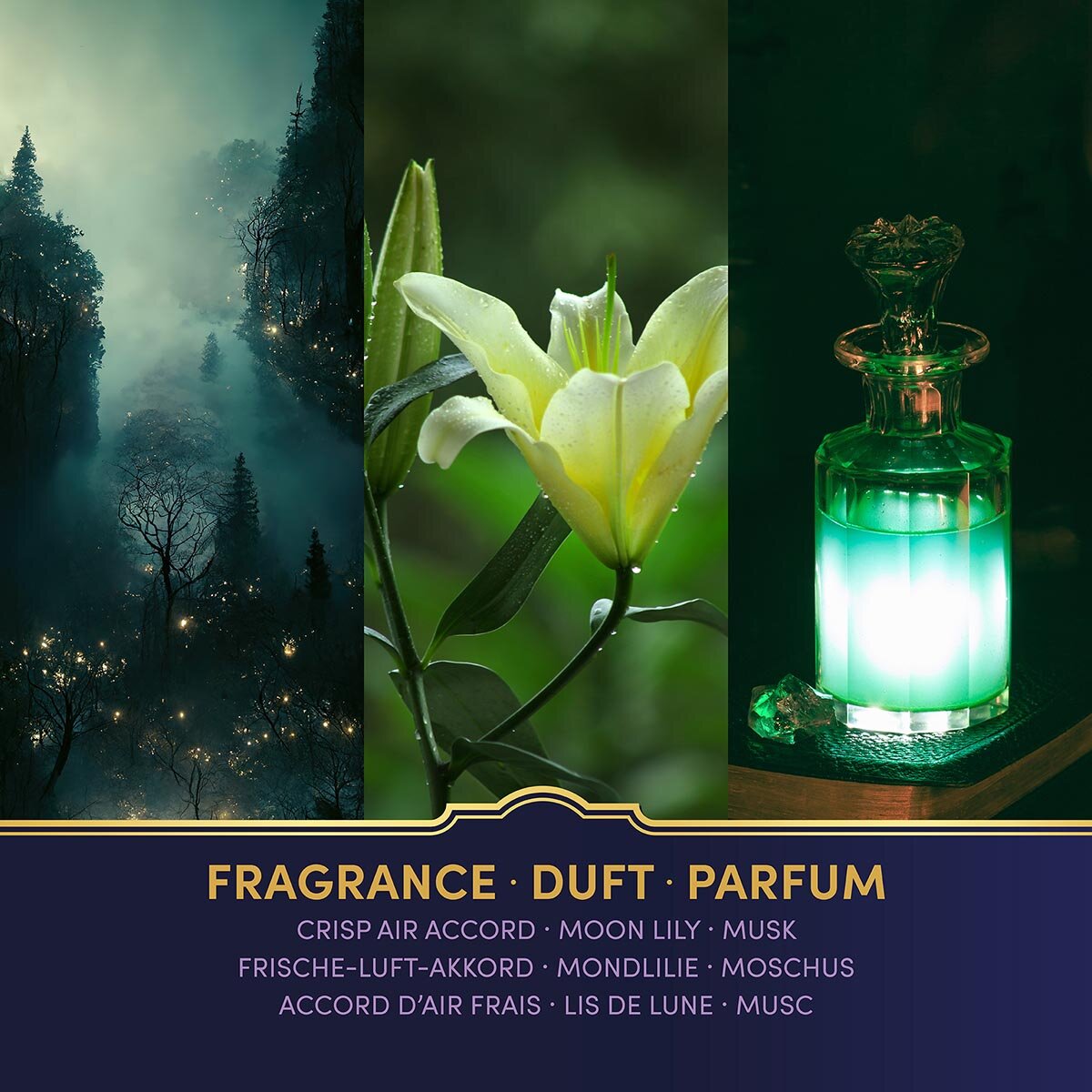 Duftnoten der veganen Duftkerze Slytherin von Harry Potter: Frische Luft, Mondlilie & Moschus. Premium-Wellness-Duft für entspannte Momente, stilvolle Wohndeko & hochwertige Geschenkidee für Harry Potter-Fans.