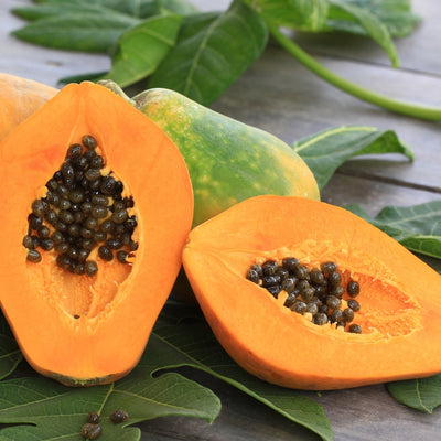 Papaya