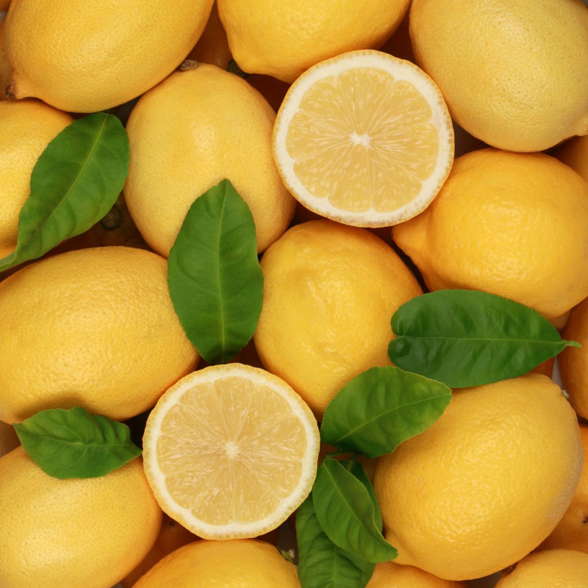 Zitrone als Duftnote für Duftkerze und Duftstäbchen. Erklärung des Duftes.