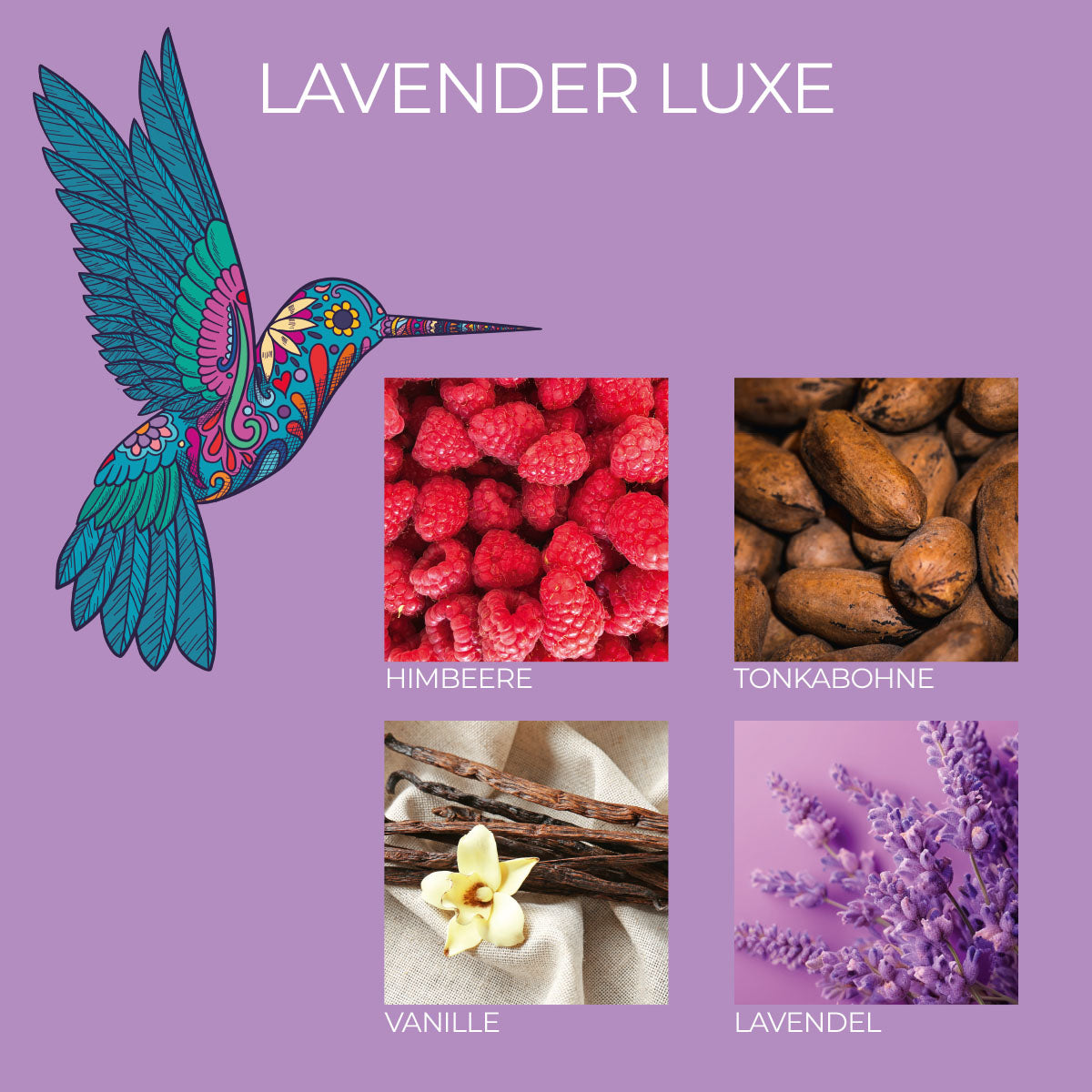 Frida Kahlo Duftkerze ‚Lavender Luxe‘ im Glas und mit Deckel – offizielle Lizenzkerze mit Duftnoten von Himbeere, Tonkabohne, Vanille und Lavendel. Luxuriöser Duftmix für eine beruhigende Atmosphäre und edle Geschenkideen.
