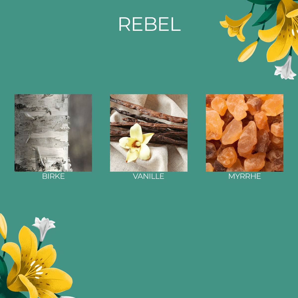 Frida Kahlo Duftkerze ‚Rebel‘ im Glas und mit Deckel – offizielle Lizenzkerze mit Duftnoten von Birke, Vanille und Myrrhe. Angenehmer Duftmix für eine inspirierende Atmosphäre und stilvolle Dekoration.