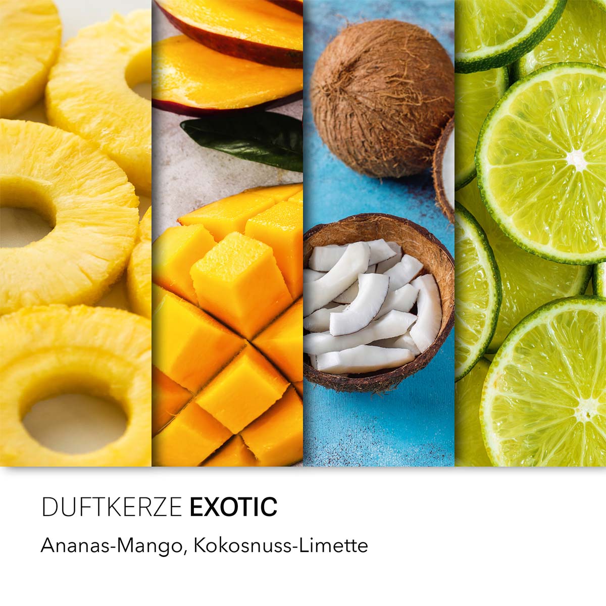Haribo Duftkerze ‚Exotic‘ – offizielle Lizenzkerze mit den Duftnoten: Ananas, Mango, Kokosnuss, Limette. Dekorative Wohnaccessoire und Urlaubsgeschenk.