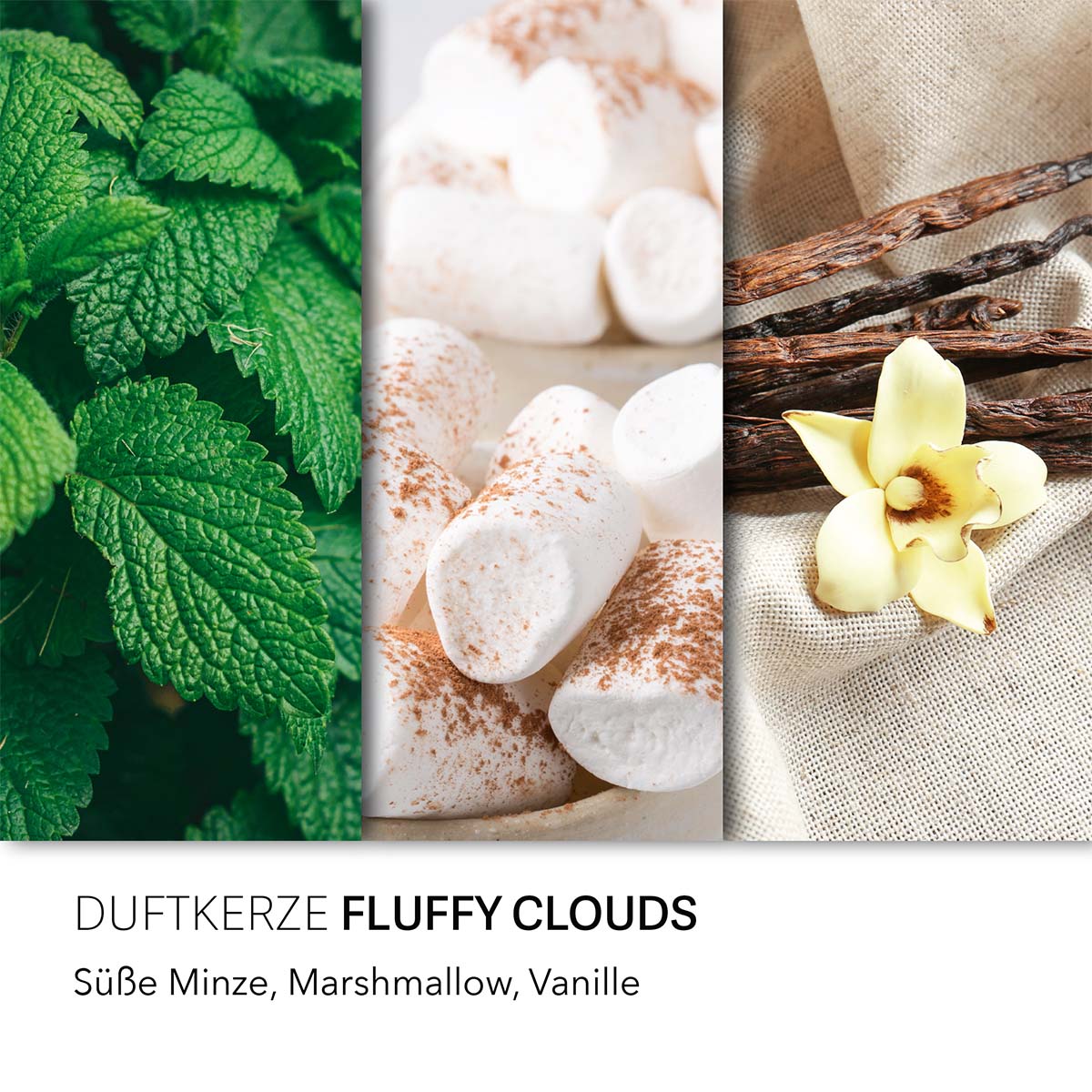 Haribo Duftkerze ‚Fluffy Clouds‘ – offizielle Lizenzkerze mit den Duftnoten: Minze, Marshmallow & Vanille. Deko für den Geburtstagstisch und tolle Ergänzung für ein Geschenk.