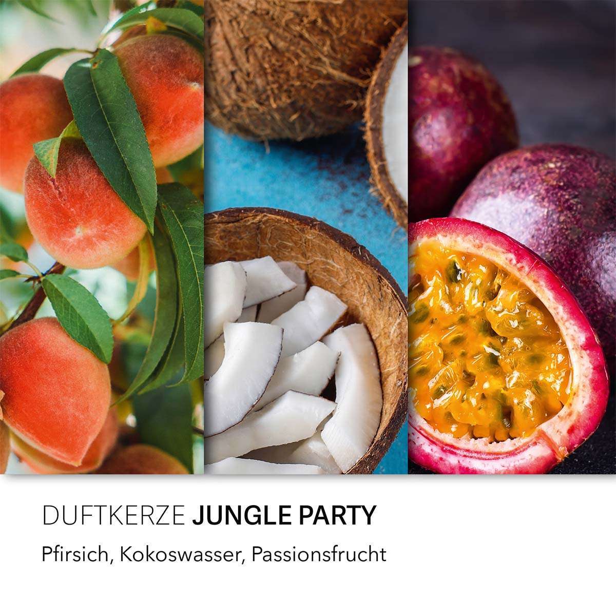 Haribo Duftkerze ‚Jungle Party‘ – offizielle Lizenzkerze mit den Duftnoten: Pfirsich, Kokoswasser & Passionsfrucht. Dekorative Wohnaccessoire oder als Geschenk für Naschkatzen.