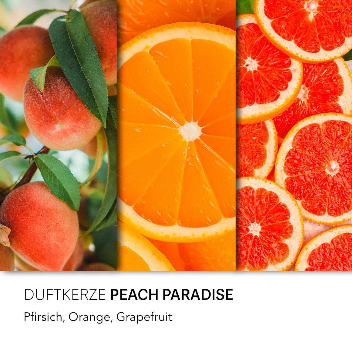 Haribo Duftkerze ‚Peach Paradise‘ – offizielle Lizenzkerze mit den Duftnoten: Pfirsich, Orange, Grapefruit. Dekorative Wohnaccessoire oder als besondere Geschenkidee.