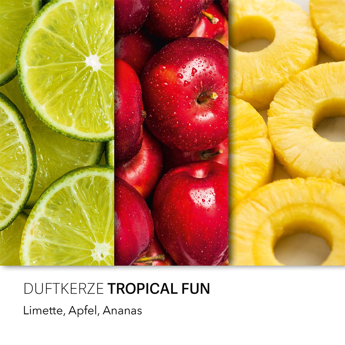 Haribo Duftkerze ‚Tropical Fun‘ – offizielle Lizenzkerze mit den Duftnoten: Limette, Apfel, Ananas. Dekorative Wohnaccessoire oder als kreative Geschenkidee.