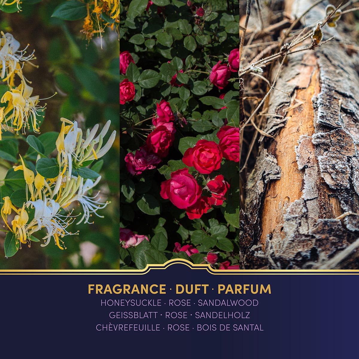 Vegane Harry Potter Duftkerze im Design von Hogwarts-Büchern. Wellness-Kerze mit Duft von Geißblatt, Rose & Sandelholz für Fans.