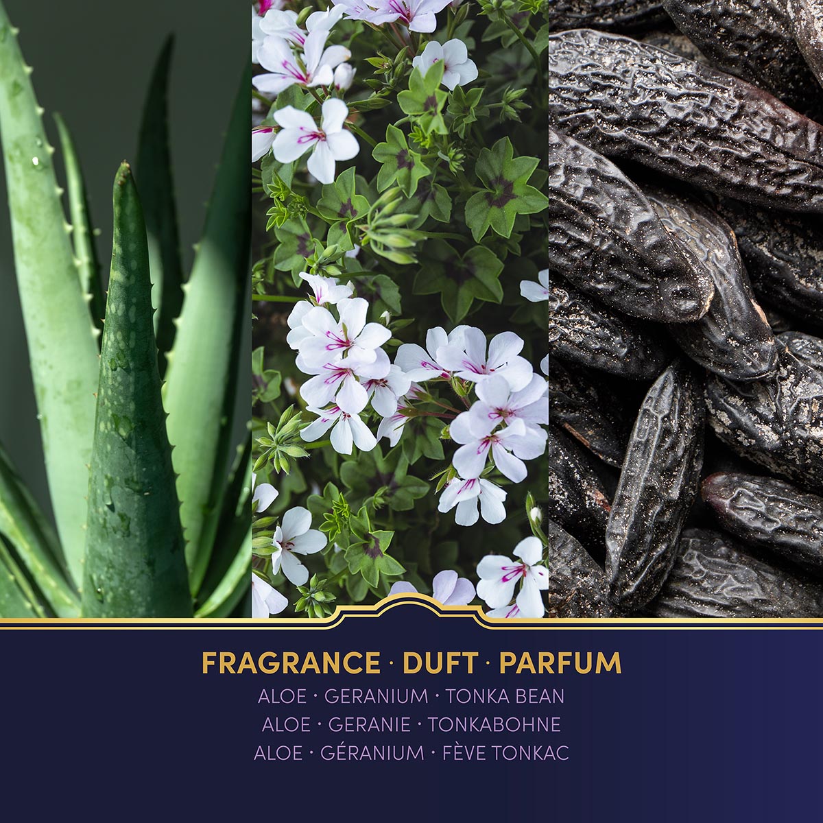 Vegane Harry Potter Duftkerze im Design des Goldenen Schnatzes. Dekorations-Kerze mit erfrischenden Duft von Aloe Vera, Geranie & Tonkabohne.