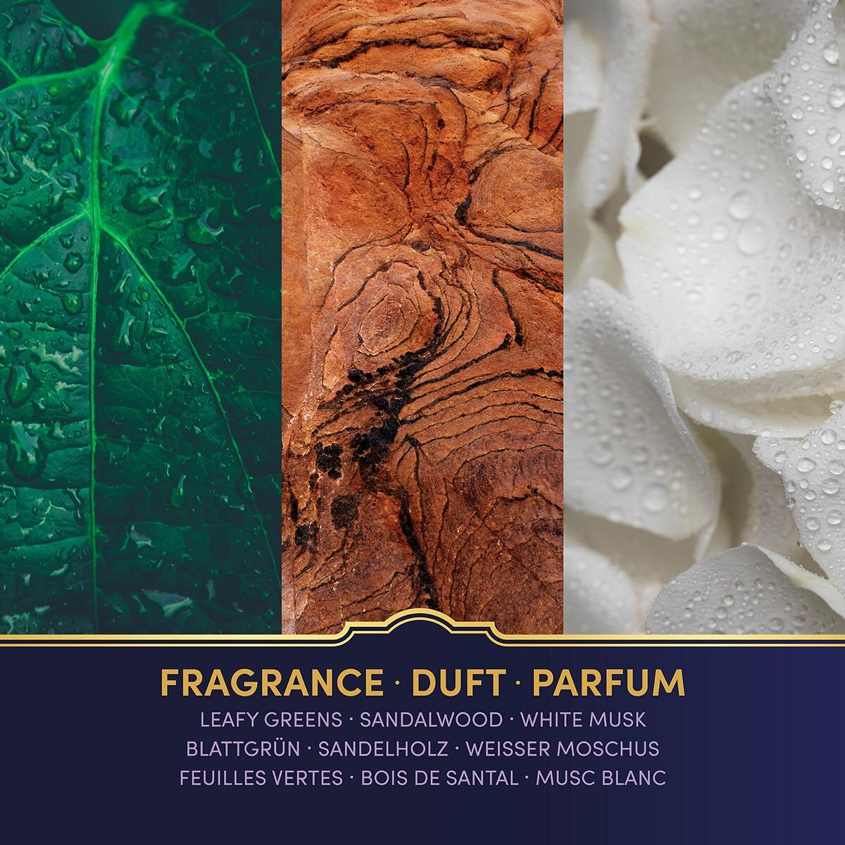Veganer Raumduft von Harry Potter mit natürlichen Duftnoten Blattgrün, Sandelholz & Moschus. Premium-Wellness-Duft für entspannte Momente, stilvolle Wohndeko & hochwertige Geschenkidee für Harry Potter-Fans.