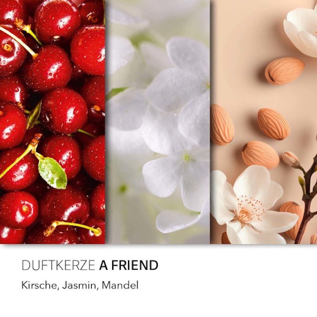  Peanuts Duftkerze ‚A Friend‘ im Glas und mit Deckel – offizielle Lizenzkerze mit Duftnoten von Kirsche, Jasmin & Mandel. Dekorative Duftkerze für Zuhause oder als Geschenk für deinen besten Freund.