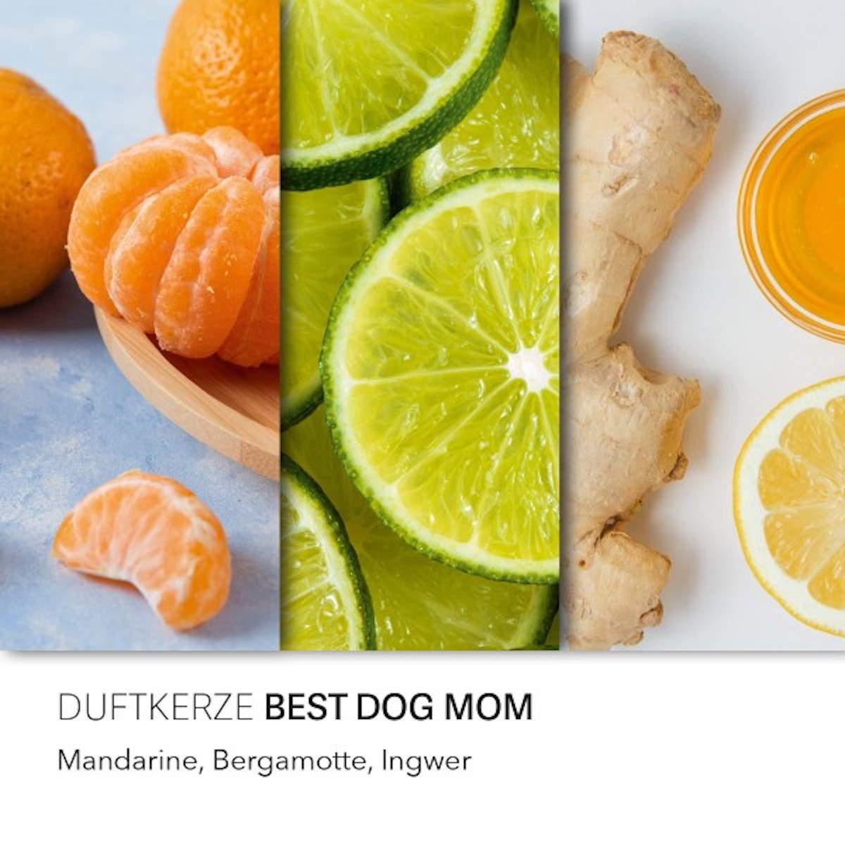 Peanuts Duftkerze ‚Best Dog Mom‘ im Glas und mit Deckel – offizielle Lizenzkerze mit Duftnoten von Mandarine, Bergamotte & Ingwer. Dekorative Duftkerze für Zuhause oder als Geschenk für Hundefreunde.