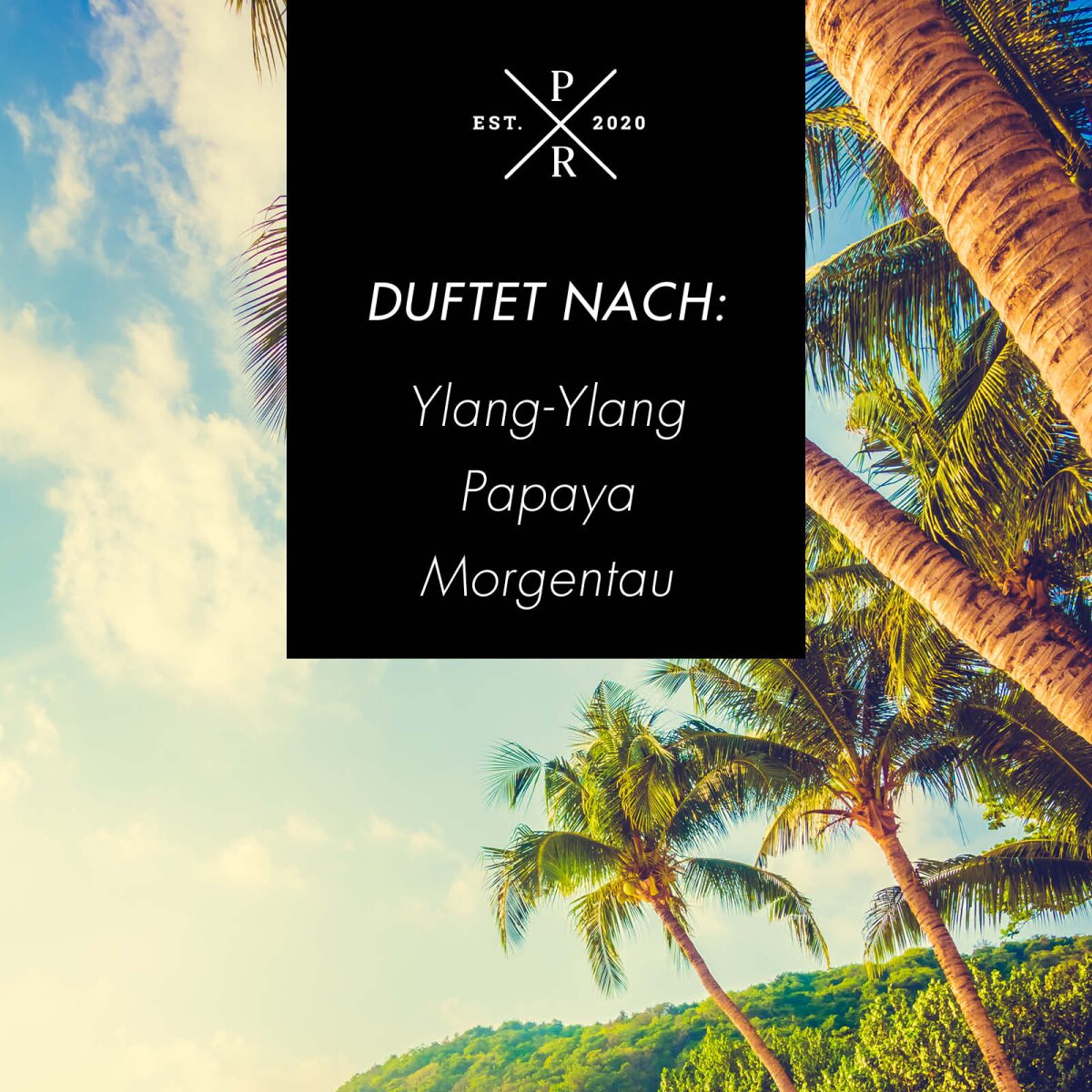 Purple River Sojawachs-Duftkerze Sol y mar -  Duftnoten: Exotisches Ylang-Ylang, fruchtige Papaya und frischer Morgentau.