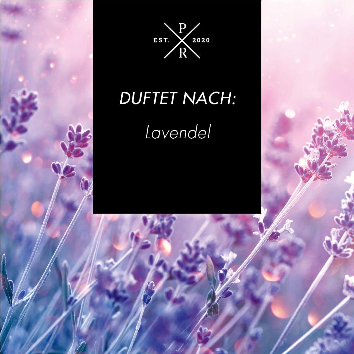 Veganer Raumduft mit Duftstäbchen von Purple River mit natürlicher Duftnote Lavendel. Premium-Wellness-Duft für entspannte Momente, stilvolle Wohndeko & hochwertige Geschenkideen. Made in Germany.