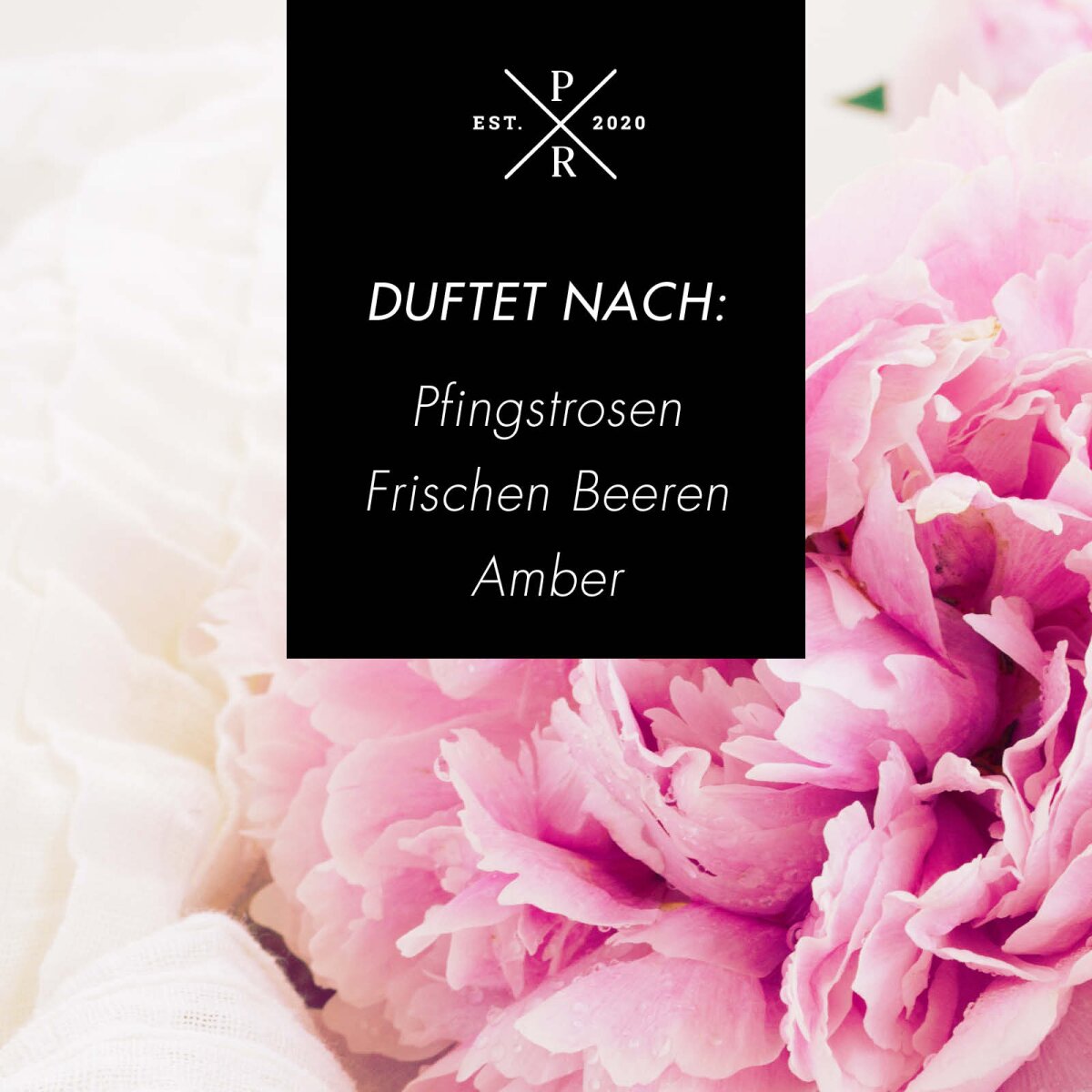 Veganer Raumduft mit Duftstäbchen von Purple River mit natürlichen Duftnoten Pfingstrose, Beeren & Amber. Premium-Wellness-Duft für entspannte Momente, stilvolle Wohndeko & hochwertige Geschenkideen. Made in Germany.