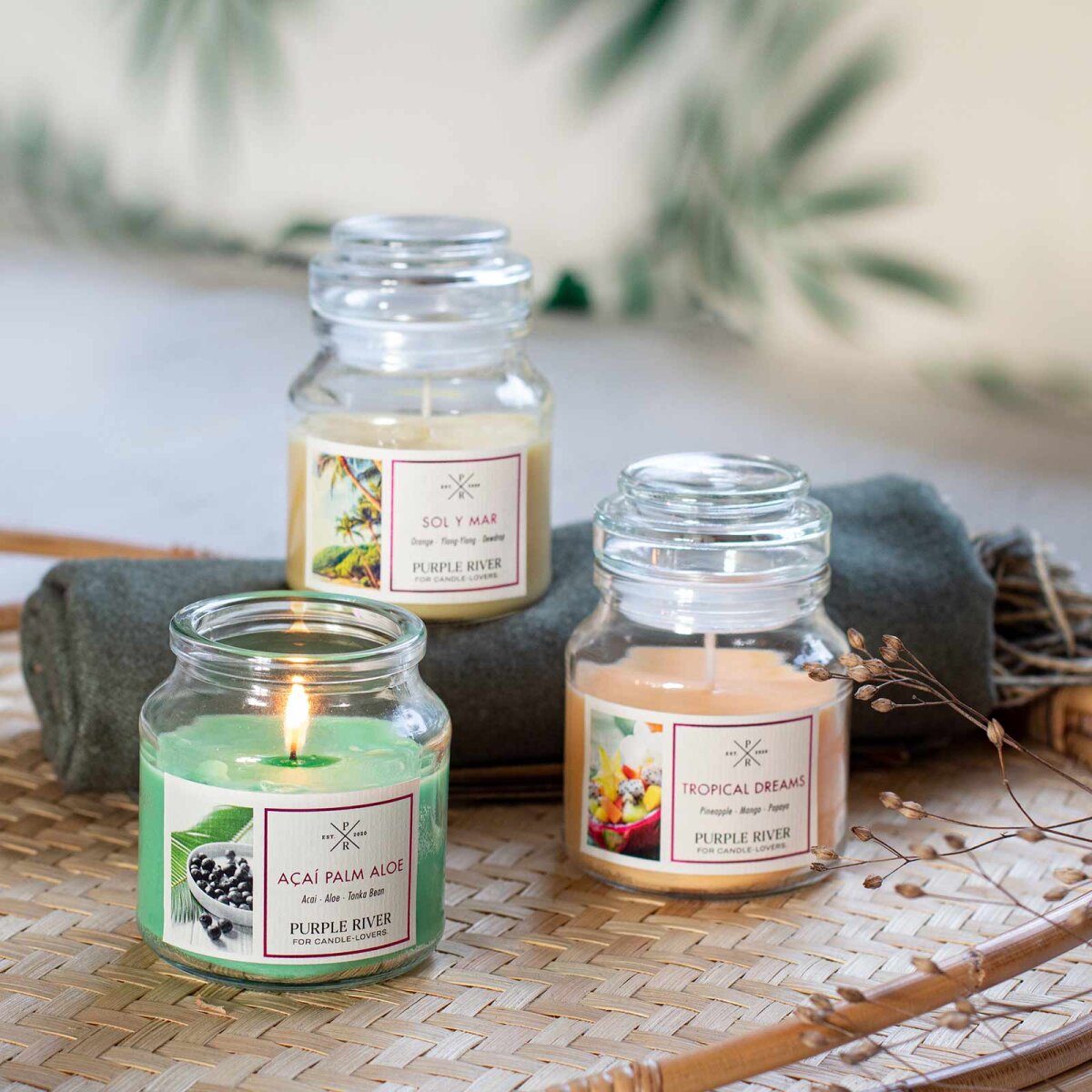 Hochwertige Sojawachskerzen (3x113g) von Purple River mit langer 40h-Brenndauer. Die kleinen veganen Duftkerzen im Glas sind ideal als exklusives Geschenk oder stilvolle Wohndeko. Hergestellt in Deutschland. 