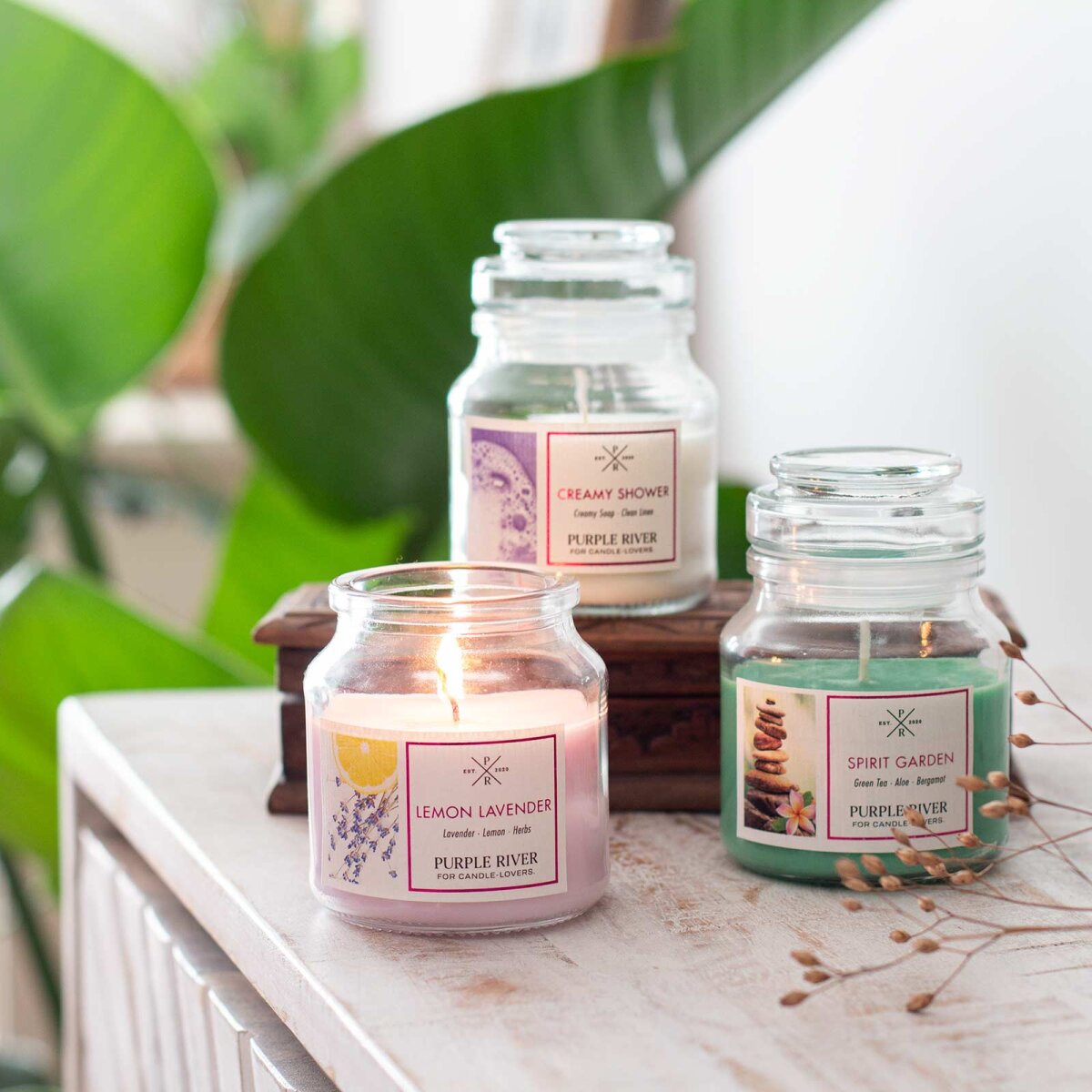 Hochwertige Sojawachskerzen (3x113g) von Purple River mit langer 40h-Brenndauer. Die kleinen veganen Duftkerzen im Glas sind ideal als exklusives Geschenk oder stilvolle Wohndeko. Hergestellt in Deutschland.