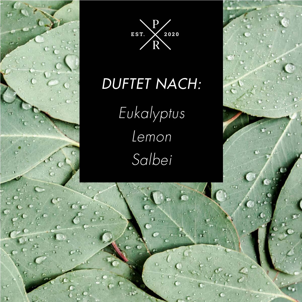 Vegane Sojawachs-Duftkerze von Purple River mit natürlichen Duftnoten Eukalyptus, Lemon & Salbei. Premium-Wellness-Kerze für entspannte Momente, stilvolle Wohndeko & hochwertige Geschenkideen. Made in Germany.