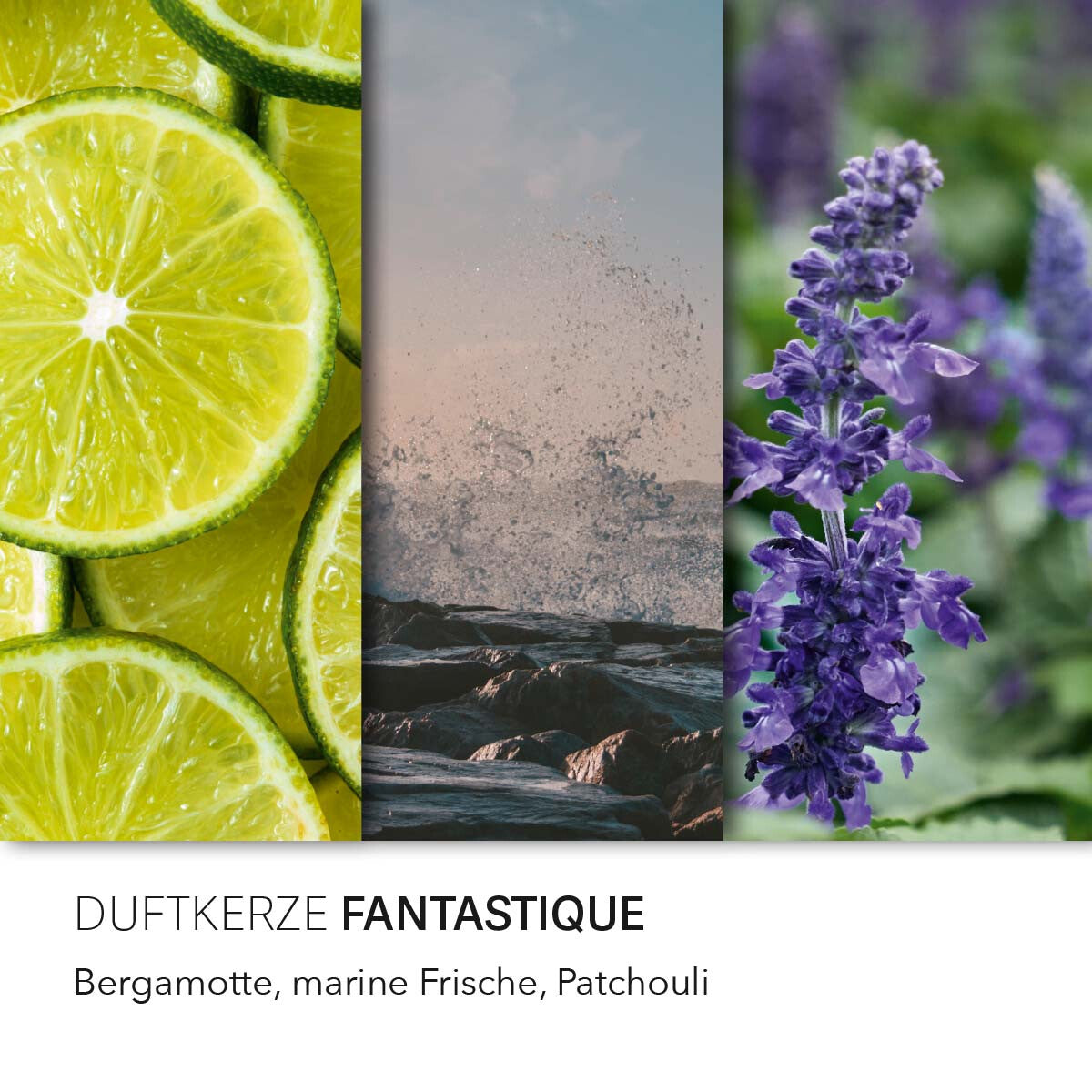 Vegane Sojawachs-Duftkerze von Purple River mit Holzdocht und natürlichen Duftnoten Bergamotte, Meeresbrise & Patchouli. Premium-Wellness-Kerze für entspannte Momente, stilvolle Wohndeko & hochwertige Geschenkideen. Made in Germany.