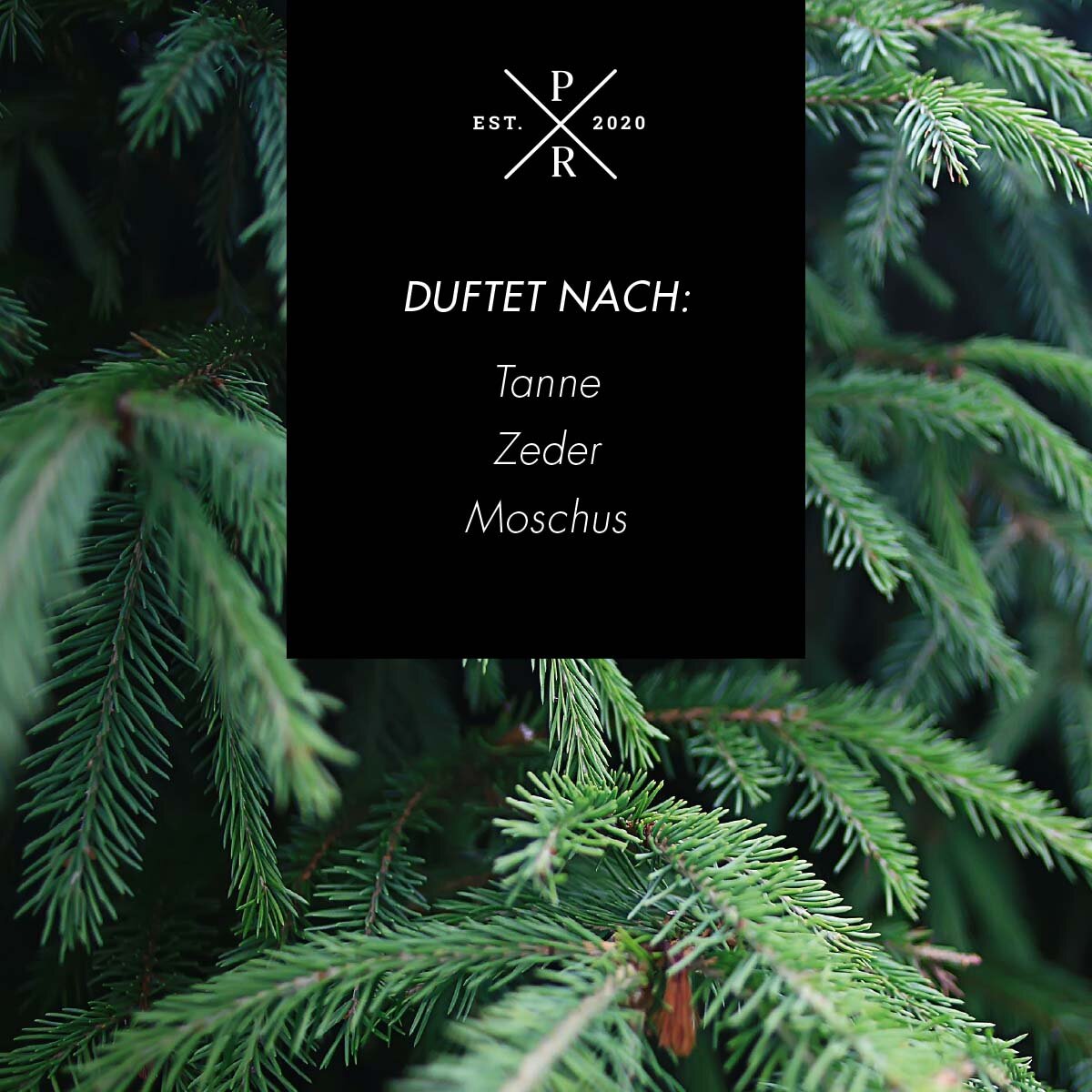 Vegane Sojawachs-Duftkerze von Purple River mit natürlichen Duftnoten Tanne, Zeder & Moschus. Premium-Wellness-Kerze für entspannte Momente, stilvolle Wohndeko & hochwertige Geschenkideen. Made in Germany.