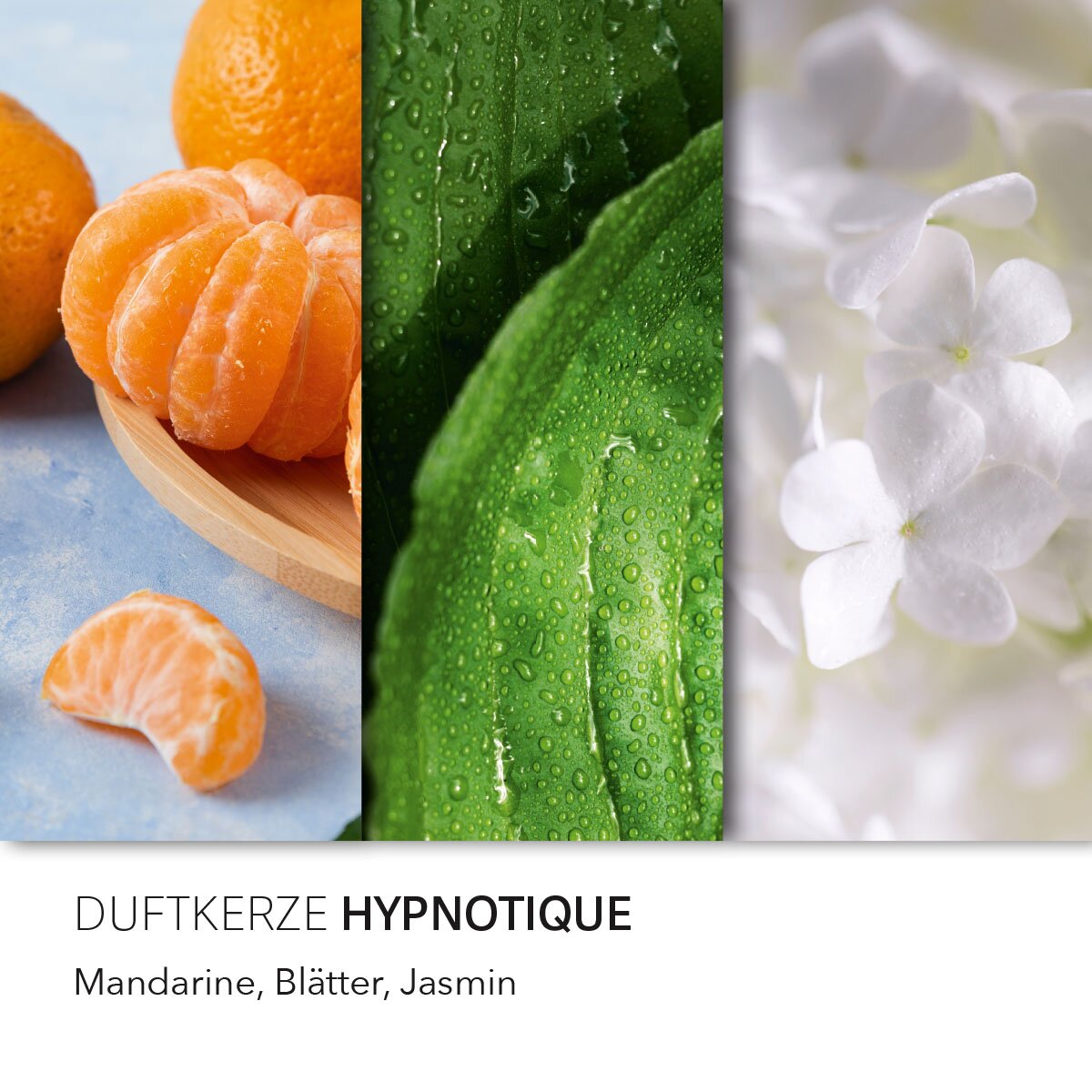 Vegane Sojawachs-Duftkerze von Purple River mit Holzdocht und natürlichen Duftnoten Mandarine, Blätter & Jasmin. Premium-Wellness-Kerze für entspannte Momente, stilvolle Wohndeko & hochwertige Geschenkideen. Made in Germany.