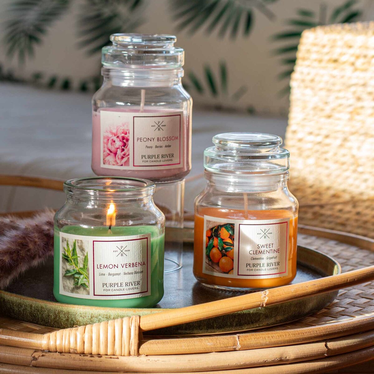 Hochwertige Sojawachskerzen (3x113g) von Purple River mit langer 40h-Brenndauer. Die kleinen veganen Duftkerzen im Glas sind ideal als exklusives Geschenk oder stilvolle Wohndeko. Hergestellt in Deutschland.