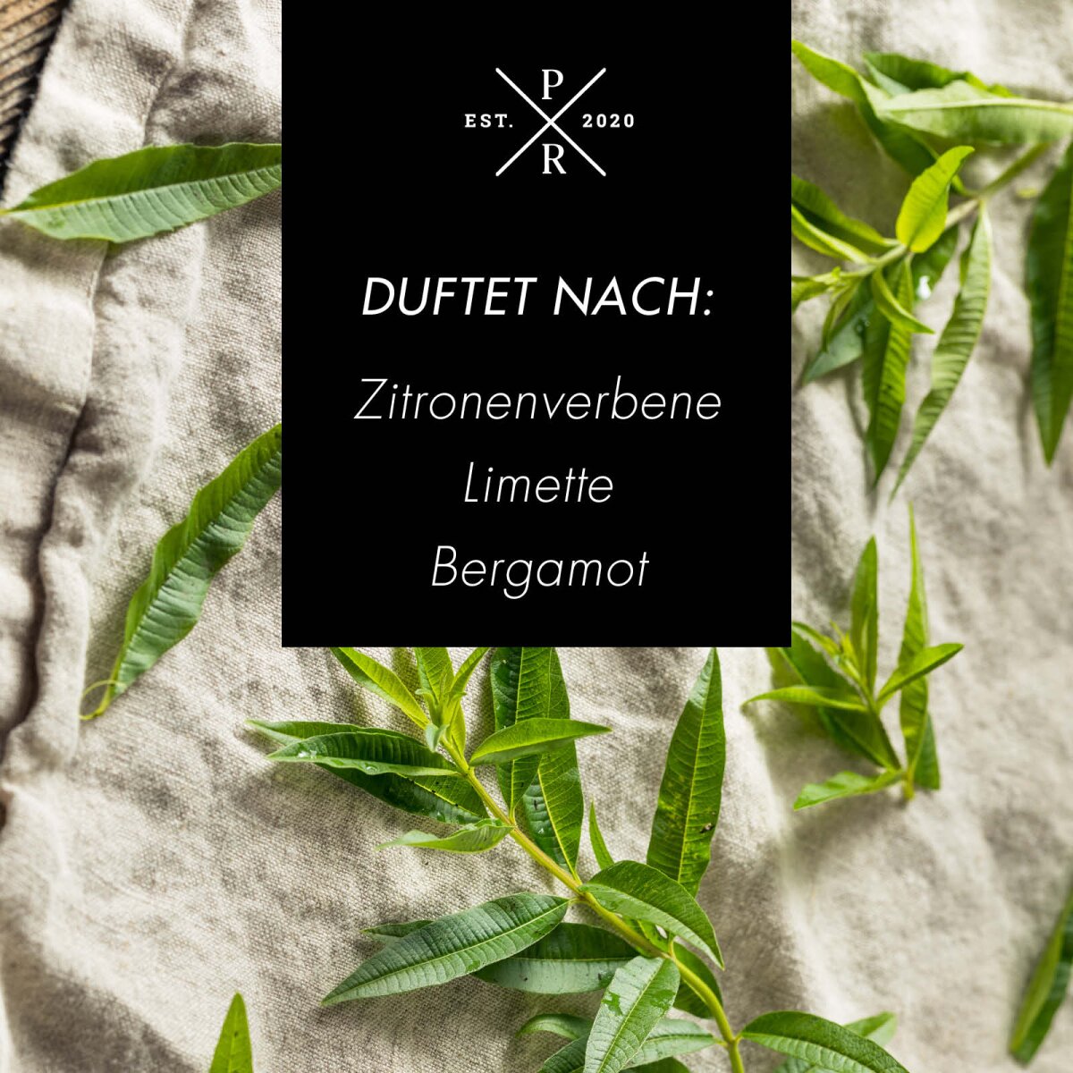 Vegane Sojawachs-Duftkerze von Purple River mit natürlichen Duftnoten Zitronenverbene, Limette & Bergamotte. Premium-Wellness-Kerze für entspannte Momente, stilvolle Wohndeko & hochwertige Geschenkideen. Made in Germany.