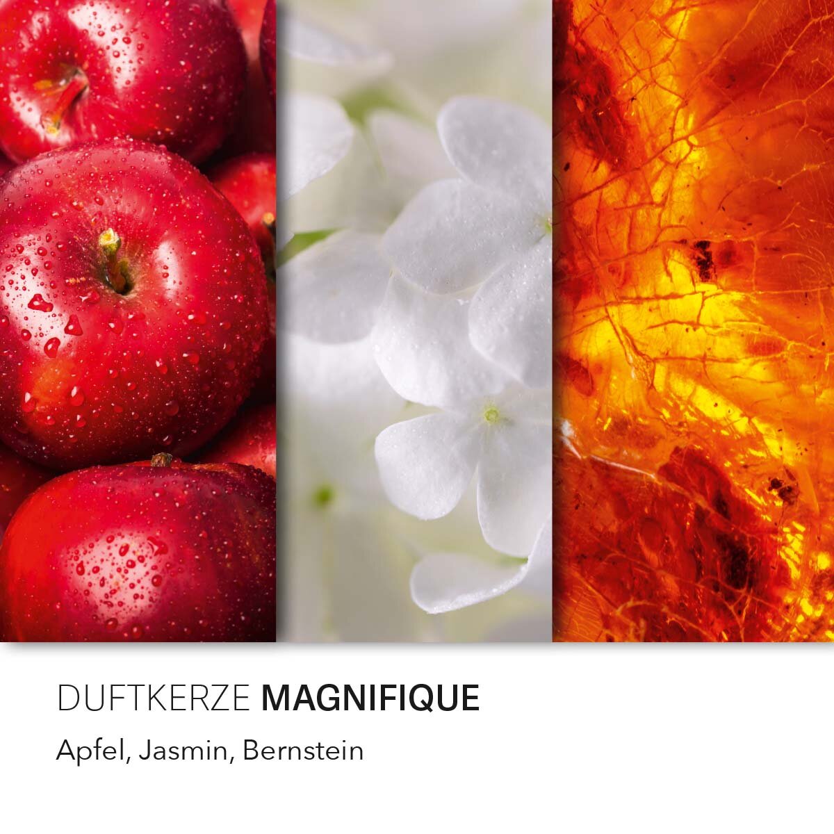 Vegane Sojawachs-Duftkerze von Purple River mit Holzdocht und natürlichen Duftnoten Apfel, Jasmin & Bernstein. Premium-Wellness-Kerze für entspannte Momente, stilvolle Wohndeko & hochwertige Geschenkideen. Made in Germany.