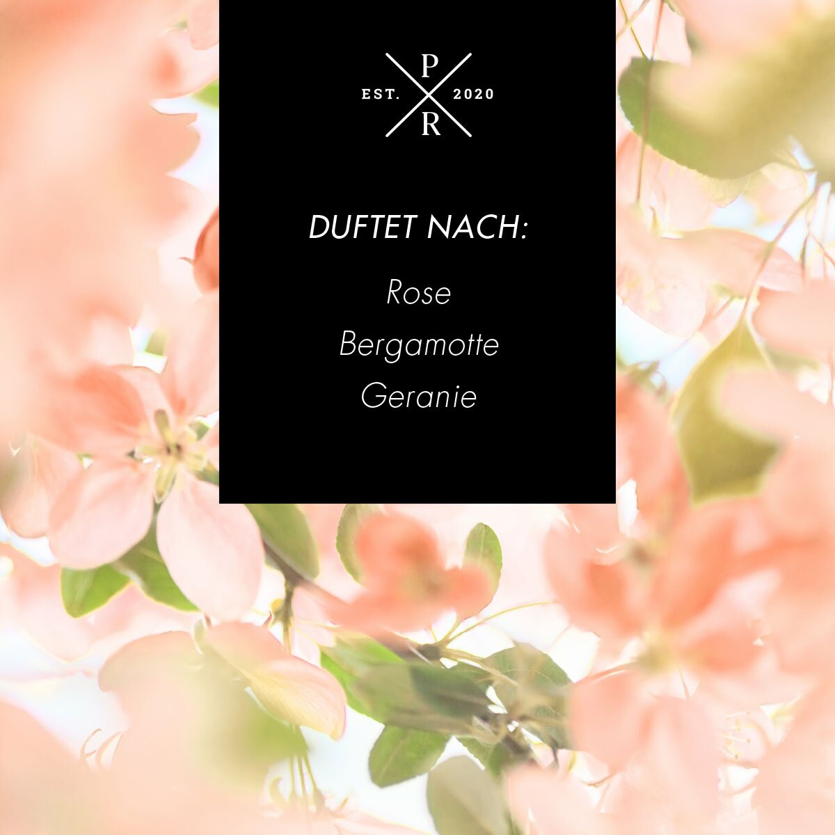 Vegane Sojawachs-Duftkerze von Purple River mit natürlichen Duftnoten Rose, Bergamotte & Geranie. Premium-Wellness-Kerze für entspannte Momente, stilvolle Wohndeko & hochwertige Geschenkideen. Made in Germany.