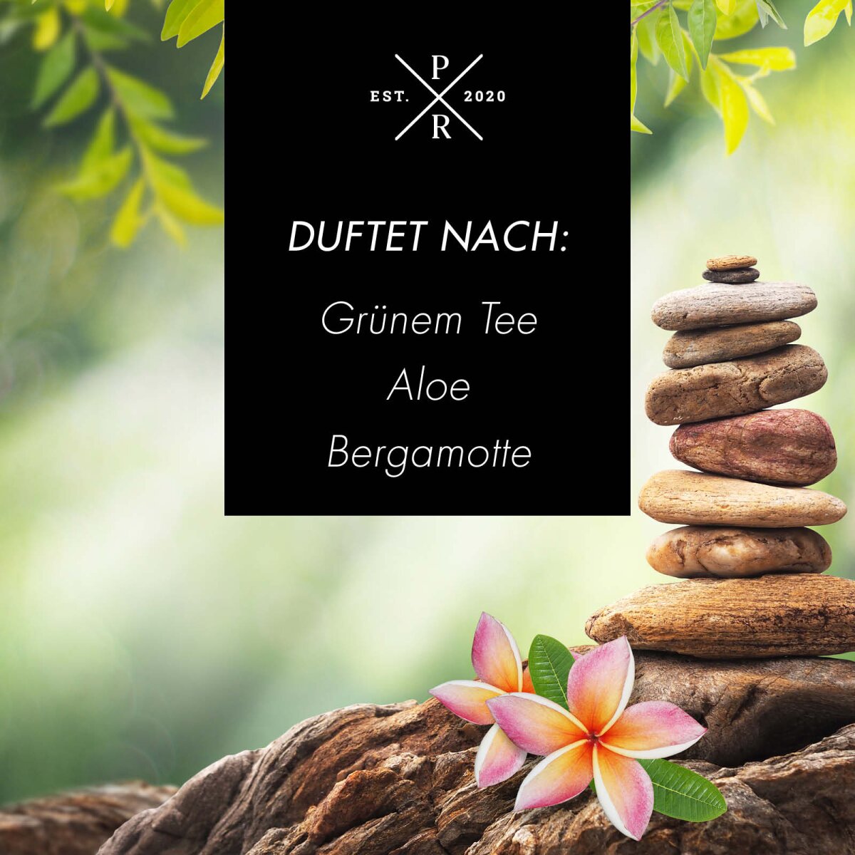 Vegane Sojawachs-Duftkerze von Purple River mit natürlichen Duftnoten grüner Tee, Aloe Vera & Bergamotte. Premium-Wellness-Kerze für entspannte Momente, stilvolle Wohndeko & hochwertige Geschenkideen. Made in Germany.