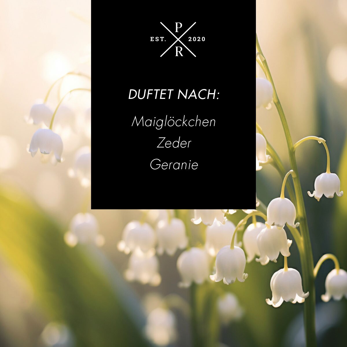 Vegane Sojawachs-Duftkerze von Purple River mit natürlichen Duftnoten Maiglöckchen, Zeder & Geranie. Premium-Wellness-Kerze für entspannte Momente, stilvolle Wohndeko & hochwertige Geschenkideen. Made in Germany.